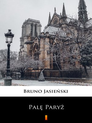 cover image of Palę Paryż